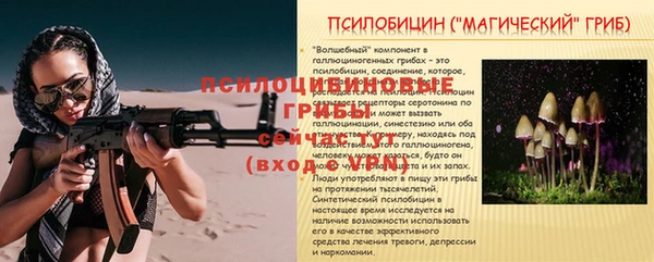 мдпв Ивангород