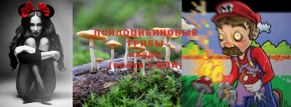 Альфа ПВП Вяземский
