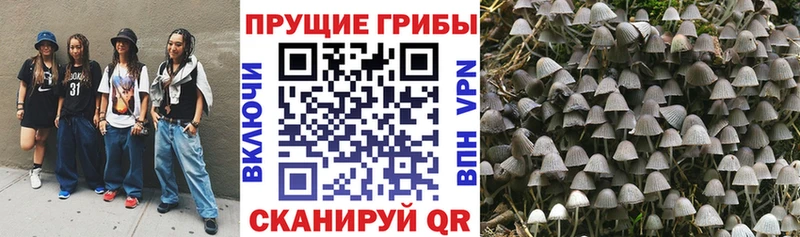 Псилоцибиновые грибы Magic Shrooms  мега ССЫЛКА  Малоархангельск 
